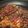 TeSage's cooksnap of when they made サバのヤンニョム焼き(고갈비구이).