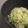 TeSage's cooksnap of when they made 塩豚チャーハン.