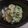 くまんぼう's cooksnap of when they made アスパラ入り白和え.