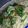 凪tama's cooksnap of when they made 簡単激ウマ！納豆パスタ.