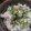 ともママたん's cooksnap of when they made 余った干物で☆ちらし寿司♪.
