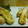 さちれんたろう's cooksnap of when they made 簡単天ぷら☆チーズちくわの磯辺揚げ.
