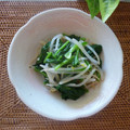 クレイプメートル's cooksnap of when they made ほうれん草ともやしのからし和え.