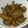 ちゅんごろー's cooksnap of when they made ゴボウとこんにゃくの甘辛炊き.
