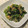 m@n@'s cooksnap of when they made ヘルシー！ほうれん草のおろし和え.