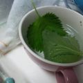 ★Rascal★'s cooksnap of when they made 大葉(しその葉)の保存.