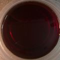 きららにゃ～ん's cooksnap of when they made 我が家のサラサラ作り置きカラメルソース☆.