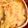egamin's cooksnap of when they made 新たまねぎのサッとグラタン.