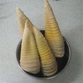 サーフブレイド's cooksnap of when they made 基本の基本✿タケノコの茹で方.