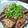 yoapiko's cooksnap of when they made 焼肉のたれでガッツリ系ご飯　さんま丼.