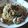 ＊あらみか＊'s cooksnap of when they made ナスとツナの冷製パスタ.