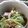 あかちゃんねこ's cooksnap of when they made 今が旬(青森）山菜ミズの炒め物.
