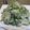 まるすけママ's cooksnap of when they made ウドの葉で天麩羅.