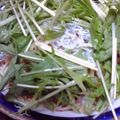 甘夏ミカン's cooksnap of when they made シラスと水菜のさっぱり和風パスタ♬.