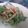 中川家。's cooksnap of when they made カニかまとサラダ菜のチーズマヨネーズ和え.