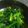 chaco38's cooksnap of when they made ほうれん草のごまあえ.