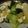 Rikoy25's cooksnap of when they made ご飯が進むチンゲンサイと豆腐の炒め物.