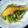 takalovene's cooksnap of when they made タニタ風？鮭のバターポン酢サラダ風.