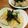 月見なっとう's cooksnap of when they made じゃがいもだけ！簡単いも餅.