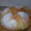 めぐりんママ's cooksnap of when they made パインとキウイのハードパン.