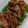 ルソナ's cooksnap of when they made 簡単時短！豚バラとキノコのオイスター炒め.