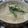 ぽんっ！'s cooksnap of when they made アスパラガスの洋風おじや.