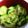 村上裕子's cooksnap of when they made 超簡単美味いきゅうり漬け.