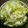 ひなっちち's cooksnap of when they made 豆腐でマイルド☆塩キャベツ.
