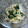 ゆきまるぞう's cooksnap of when they made もりもり！わかめともやしのナムル.