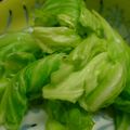 myukitty's cooksnap of when they made 春キャベツの塩麹もみ.