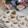 るるおか's cooksnap of when they made ♡蒸しサトイモ　with ゆかりさん♡.