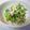 yummysunny's cooksnap of when they made 豆苗とツナのピリ辛サラダ.