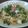 しらたまいちご's cooksnap of when they made 簡単♪梅と大根おろしの冷製パスタ.