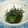 chieko333's cooksnap of when they made ほうれん草と海苔のおひたし.