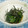 chieko333's cooksnap of when they made ほうれん草と海苔のおひたし.