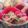 アユえもん's cooksnap of when they made 野菜のみそ炒め(^O^).