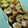 ママフィオ's cooksnap of when they made 海老天むす風～海苔巻き.