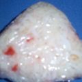 toshiebaba's cooksnap of when they made 梅+しらすおにぎり.