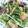 めぐっぺ33's cooksnap of when they made 生しいたけと水菜の炒め物.