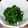 ハルナオママ's cooksnap of when they made ニラと塩こんぶの和え物.