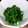 ハルナオママ's cooksnap of when they made ニラと塩こんぶの和え物.