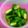 ひいろらいきママ's cooksnap of when they made 簡単☆きゅうり浅漬け.