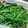 まるまるQQ's cooksnap of when they made ほうれん草のお浸し～海苔風味～.