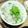 もじゃこてつー's cooksnap of when they made 三つ葉と生姜の香りご飯.