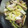 ゆきんぶ～'s cooksnap of when they made イカときゅうりの中華和え.