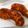 inoconoco's cooksnap of when they made 鶏ササミのハーブチーズフライ.