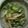 あくあ☆ぶるー's cooksnap of when they made オクラに大葉＆みょうがのっけ盛り.