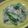 meg115's cooksnap of when they made 水菜と青梗菜のツナマヨボイルサラダ.