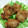 なおぷー。's cooksnap of when they made 超簡単！サクサク豚唐揚げ.