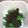 セルくん's cooksnap of when they made ゆずポンdeほうれん草.